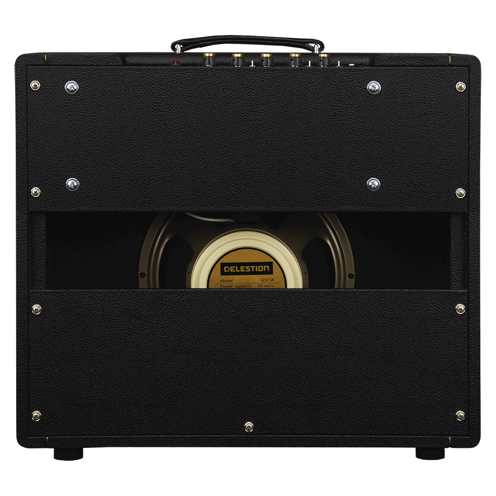 Friedman Pink Taco V2 Tube Combo Amp