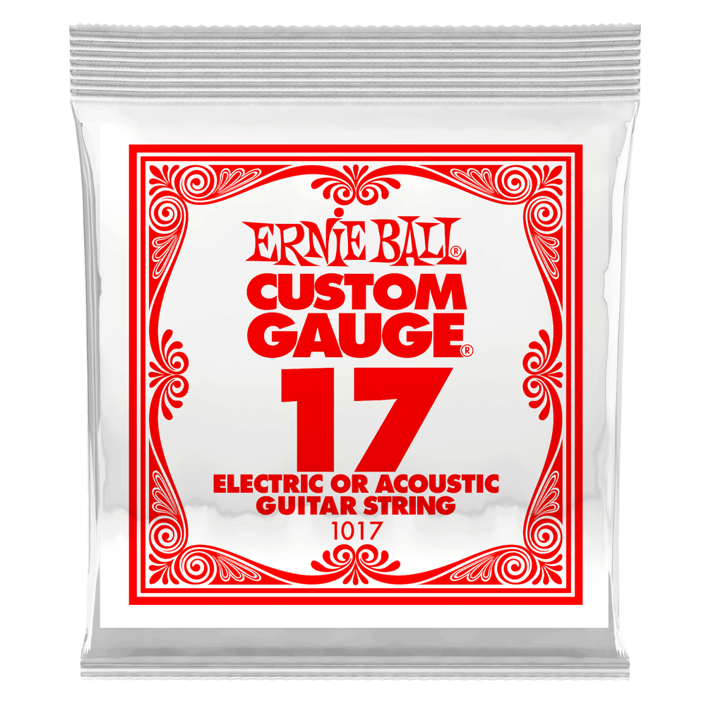 ERNIE BALL .017 Plain Steel Electric or Acoustic Guitar Strings 6 Pack P01017